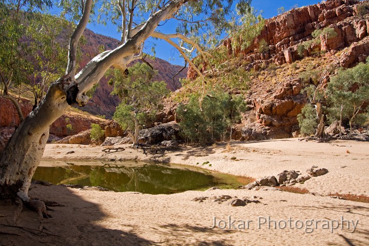 Larapinta_20080602_188 copy.jpg - Ormiston Gorge